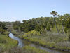 To Spruce Creek trail photos